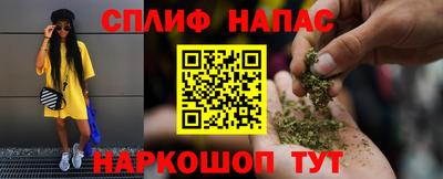 дмт Будённовск